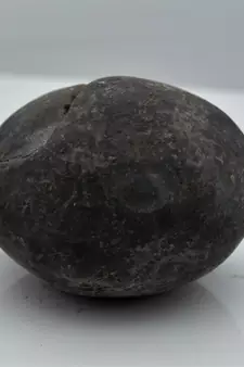 Nepal Gandaki River Original Shaligram Shila Idol Shri Vishnu For Tulsi Puja Stone Fossil In Size (Max: 5 CM) ID-113
