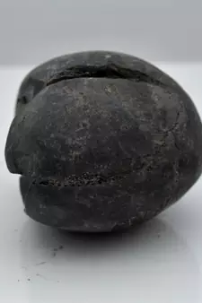 Nepal Gandaki River Original Shaligram Shila Idol Shri Vishnu For Tulsi Puja Stone Fossil In Size (Max: 5 CM) ID-113