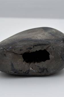 Nepal Gandaki River Original Shaligram Shila Idol Shri Vishnu For Tulsi Puja Stone Fossil In Size (Max: 5 CM) ID-114