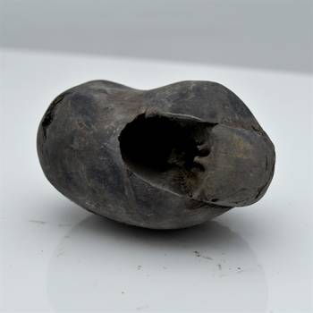 Nepal Gandaki River Original Shaligram Shila Idol Shri Vishnu For Tulsi Puja Stone Fossil In Size (Max: 5 CM) ID-115 1