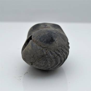 Nepal Gandaki River Original Shaligram Shila Idol Shri Vishnu For Tulsi Puja Stone Fossil In Size (Max: 5 CM) ID-115 2
