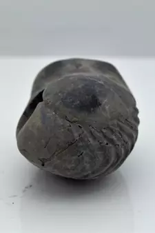 Nepal Gandaki River Original Shaligram Shila Idol Shri Vishnu For Tulsi Puja Stone Fossil In Size (Max: 5 CM) ID-115