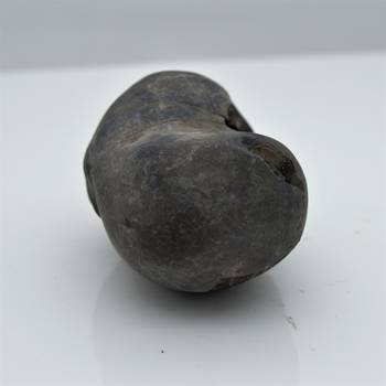 Nepal Gandaki River Original Shaligram Shila Idol Shri Vishnu For Tulsi Puja Stone Fossil In Size (Max: 5 CM) ID-115 4