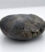 Nepal Gandaki River Original Shaligram Shila Idol Shri Vishnu For Tulsi Puja Stone Fossil In Size (Max: 5 CM) ID-116