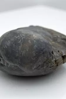 Nepal Gandaki River Original Shaligram Shila Idol Shri Vishnu For Tulsi Puja Stone Fossil In Size (Max: 5 CM) ID-116