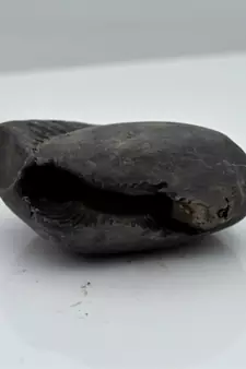 Nepal Gandaki River Original Shaligram Shila Idol Shri Vishnu For Tulsi Puja Stone Fossil In Size (Max: 5 CM) ID-120