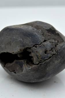 Nepal Gandaki River Original Shaligram Shila Idol Shri Vishnu For Tulsi Puja Stone Fossil In Size (Max: 5 CM) ID-123