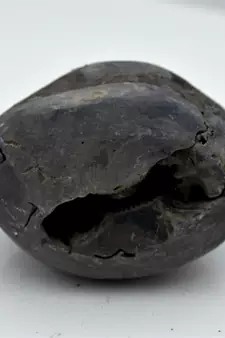 Nepal Gandaki River Original Shaligram Shila Idol Shri Vishnu For Tulsi Puja Stone Fossil In Size (Max: 5 CM) ID-123