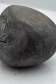 Nepal Gandaki River Original Shaligram Shila Idol Shri Vishnu For Tulsi Puja Stone Fossil In Size (Max: 5 CM) ID-128