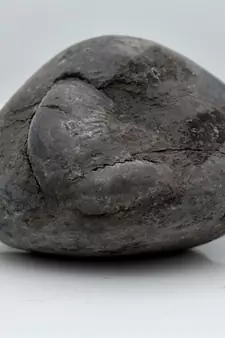 Nepal Gandaki River Original Shaligram Shila Idol Shri Vishnu For Tulsi Puja Stone Fossil In Size (Max: 5 CM) ID-129