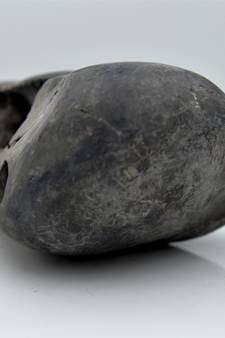 Nepal Gandaki River Original Shaligram Shila Idol Shri Vishnu For Tulsi Puja Stone Fossil In Size (Max: 5 CM) ID-130