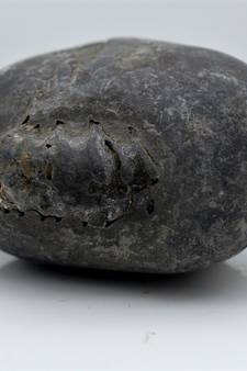 Nepal Gandaki River Original Shaligram Shila Idol Shri Vishnu For Tulsi Puja Stone Fossil In Size (Max: 5 CM) ID-132