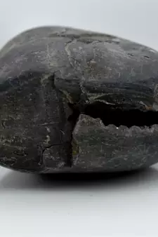 Nepal Gandaki River Original Shaligram Shila Idol Shri Vishnu For Tulsi Puja Stone Fossil In Size (Max: 5 CM) ID-132