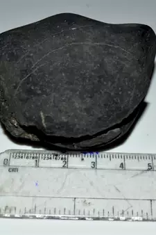 Nepal Gandaki River Original Shaligram Shila Idol Shri Vishnu For Tulsi Puja Stone Fossil In Size (Max: 5 CM) ID-132