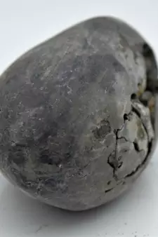 Nepal Gandaki River Original Shaligram Shila Idol Shri Vishnu For Tulsi Puja Stone Fossil In Size (Max: 5 CM) ID-133