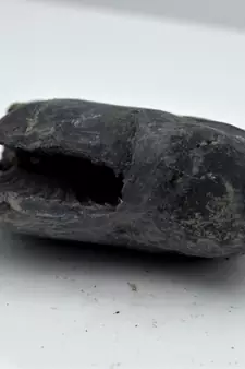 Nepal Gandaki River Original Shaligram Shila Idol Shri Vishnu For Tulsi Puja Stone Fossil In Size (Max: 5 CM) ID-135