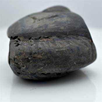 Nepal Gandaki River Original Shaligram Shila Idol Shri Vishnu For Tulsi Puja Stone Fossil In Size (Max: 5 CM) ID-136 1