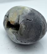 Nepal Gandaki River Original Shaligram Shila Idol Shri Vishnu For Tulsi Puja Stone Fossil In Size (Max: 5 CM) ID-137