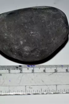 Nepal Gandaki River Original Shaligram Shila Idol Shri Vishnu For Tulsi Puja Stone Fossil In Size (Max: 5 CM) ID-137