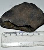 Nepal Gandaki River Original Shaligram Shila Idol Shri Vishnu For Tulsi Puja Stone Fossil In Size (Max: 5 CM) ID-138