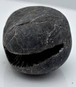 Nepal Gandaki River Original Shaligram Shila Idol Shri Vishnu For Tulsi Puja Stone Fossil In Size (Max: 5 CM) ID-139
