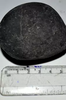 Nepal Gandaki River Original Shaligram Shila Idol Shri Vishnu For Tulsi Puja Stone Fossil In Size (Max: 5 CM) ID-139