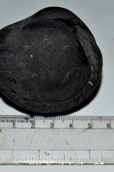 Nepal Gandaki River Original Shaligram Shila Idol Shri Vishnu For Tulsi Puja Stone Fossil In Size (Max: 5 CM) ID-142