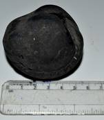 Nepal Gandaki River Original Shaligram Shila Idol Shri Vishnu For Tulsi Puja Stone Fossil In Size (Max: 5 CM) ID-142