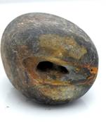 Nepal Gandaki River Original Shaligram Shila Idol Shri Vishnu For Tulsi Puja Stone Fossil In Size (Max: 5 CM) ID-149