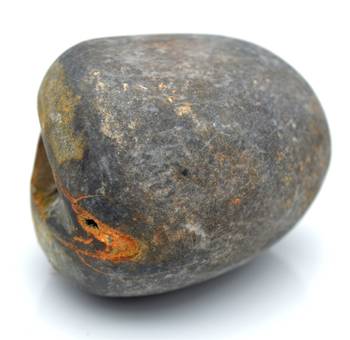 Nepal Gandaki River Original Shaligram Shila Idol Shri Vishnu For Tulsi Puja Stone Fossil In Size (Max: 5 CM) ID-149 2