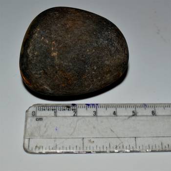 Nepal Gandaki River Original Shaligram Shila Idol Shri Vishnu For Tulsi Puja Stone Fossil In Size (Max: 5 CM) ID-149 3