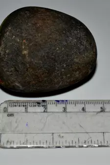 Nepal Gandaki River Original Shaligram Shila Idol Shri Vishnu For Tulsi Puja Stone Fossil In Size (Max: 5 CM) ID-149