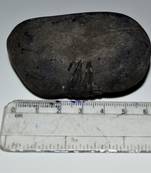 Nepal Gandaki River Original Shaligram Shila Idol Shri Vishnu For Tulsi Puja Stone Fossil In Size (Max: 5 CM) ID-151