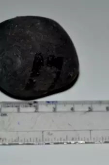 Nepal Gandaki River Original Shaligram Shila Idol Shri Vishnu For Tulsi Puja Stone Fossil In Size (Max: 5 CM) ID-152
