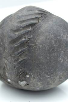 Nepal Gandaki River Original Shaligram Shila Idol Shri Vishnu For Tulsi Puja Stone Fossil In Size (Max: 5 CM) ID-153