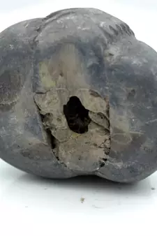 Nepal Gandaki River Original Shaligram Shila Idol Shri Vishnu For Tulsi Puja Stone Fossil In Size (Max: 5 CM) ID-153