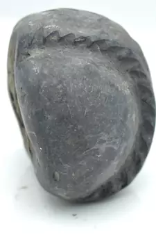 Nepal Gandaki River Original Shaligram Shila Idol Shri Vishnu For Tulsi Puja Stone Fossil In Size (Max: 5 CM) ID-153