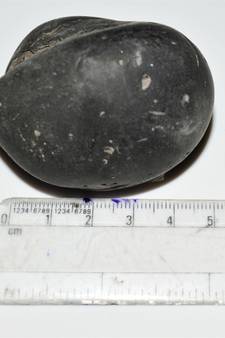 Nepal Gandaki River Original Shaligram Shila Idol Shri Vishnu For Tulsi Puja Stone Fossil In Size (Max: 5 CM) ID-162