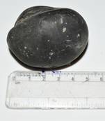 Nepal Gandaki River Original Shaligram Shila Idol Shri Vishnu For Tulsi Puja Stone Fossil In Size (Max: 5 CM) ID-162