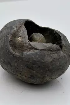 Nepal Gandaki River Original Shaligram Shila Idol Shri Vishnu For Tulsi Puja Stone Fossil In Size (Max: 5 CM) ID-167