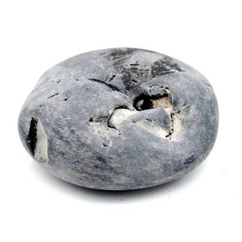Nepal Gandaki River Original Shaligram Shila Idol Shri Vishnu For Tulsi Puja Stone Fossil In Size (Max: 5 CM) ID-168 1