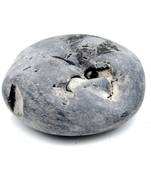 Nepal Gandaki River Original Shaligram Shila Idol Shri Vishnu For Tulsi Puja Stone Fossil In Size (Max: 5 CM) ID-168