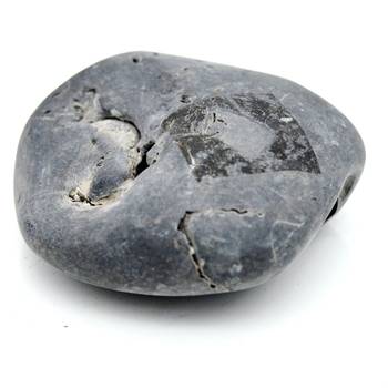Nepal Gandaki River Original Shaligram Shila Idol Shri Vishnu For Tulsi Puja Stone Fossil In Size (Max: 5 CM) ID-168 2