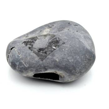 Nepal Gandaki River Original Shaligram Shila Idol Shri Vishnu For Tulsi Puja Stone Fossil In Size (Max: 5 CM) ID-168 3