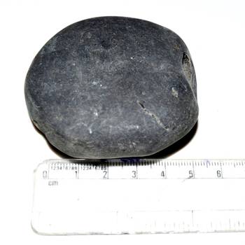 Nepal Gandaki River Original Shaligram Shila Idol Shri Vishnu For Tulsi Puja Stone Fossil In Size (Max: 5 CM) ID-168 4
