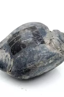 Nepal Gandaki River Original Shaligram Shila Idol Shri Vishnu For Tulsi Puja Stone Fossil In Size (Max: 5 CM) ID-169