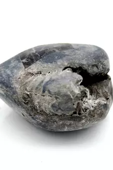 Nepal Gandaki River Original Shaligram Shila Idol Shri Vishnu For Tulsi Puja Stone Fossil In Size (Max: 5 CM) ID-169