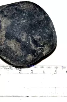 Nepal Gandaki River Original Shaligram Shila Idol Shri Vishnu For Tulsi Puja Stone Fossil In Size (Max: 5 CM) ID-169