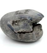 Nepal Gandaki River Original Shaligram Shila Idol Shri Vishnu For Tulsi Puja Stone Fossil In Size (Max: 5 CM) ID-170