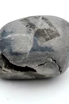 Nepal Gandaki River Original Shaligram Shila Idol Shri Vishnu For Tulsi Puja Stone Fossil In Size (Max: 5 CM) ID-170